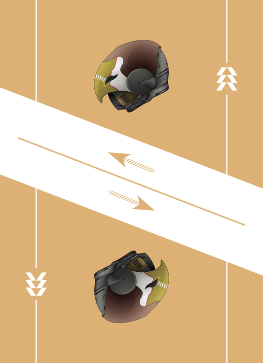 Hunter Postercard - Celestial Nighthawk